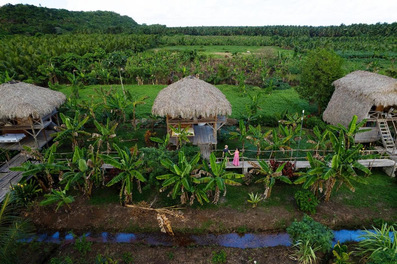 Samana Ecolodge El Limon Ngoại thất bức ảnh