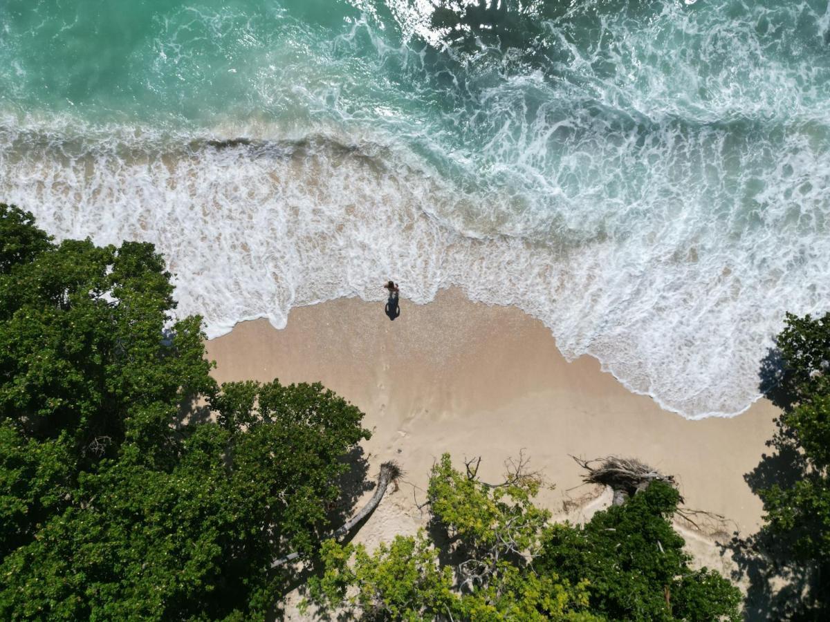 Samana Ecolodge El Limon Ngoại thất bức ảnh