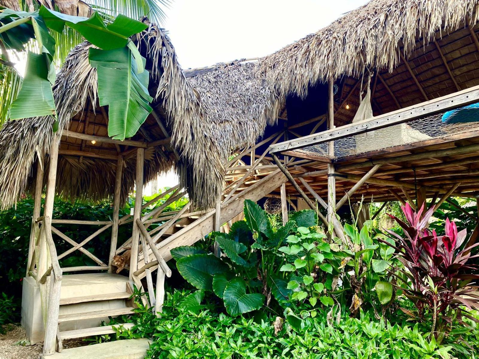 Samana Ecolodge El Limon Ngoại thất bức ảnh