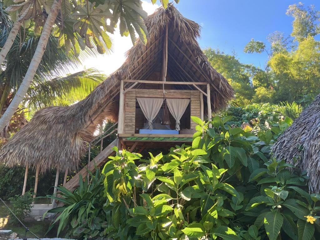 Samana Ecolodge El Limon Ngoại thất bức ảnh