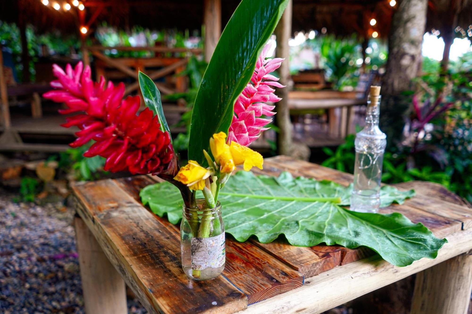 Samana Ecolodge El Limon Ngoại thất bức ảnh